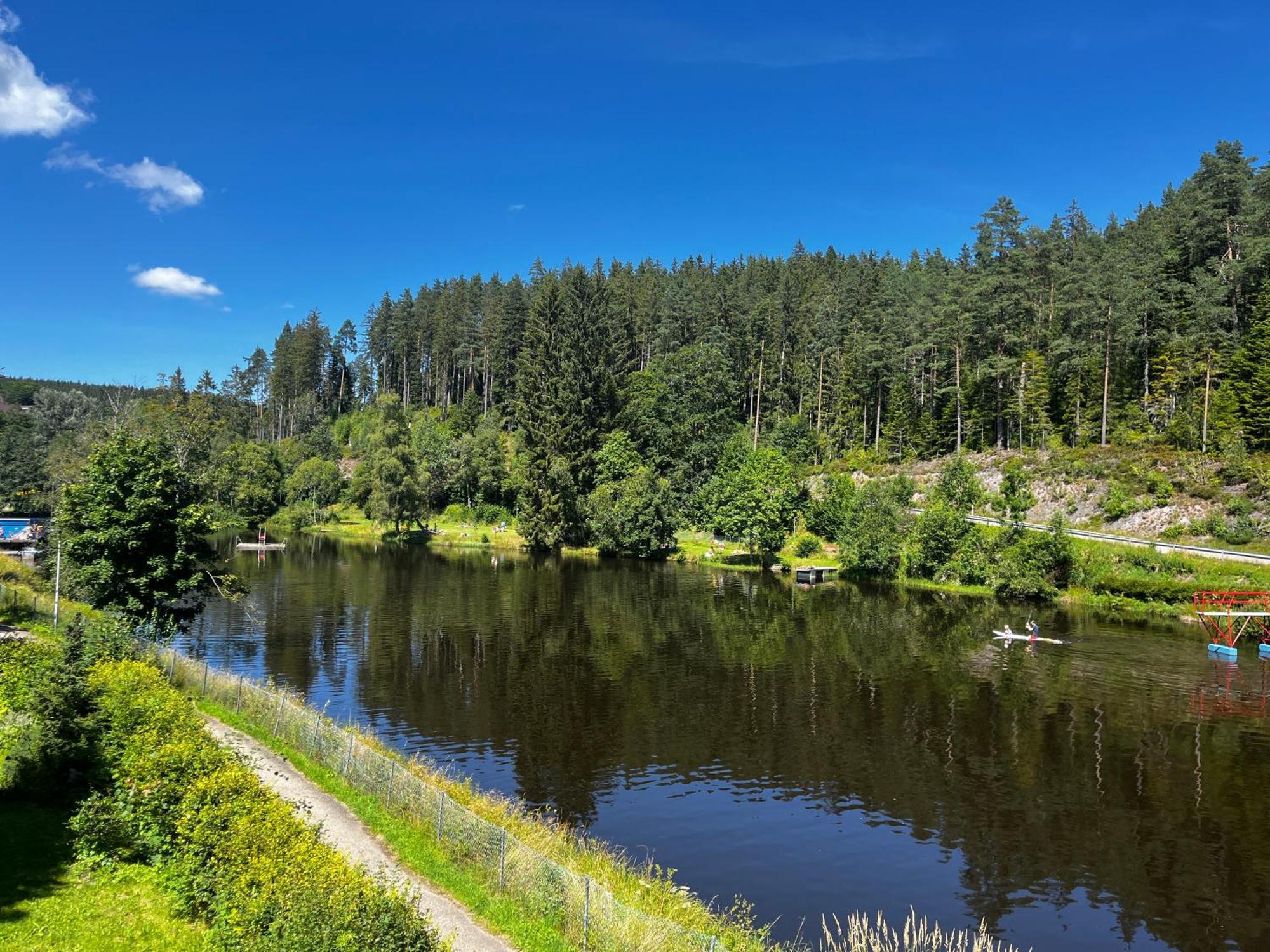 Haus Am See - Natur Pur Friedenweiler Экстерьер фото