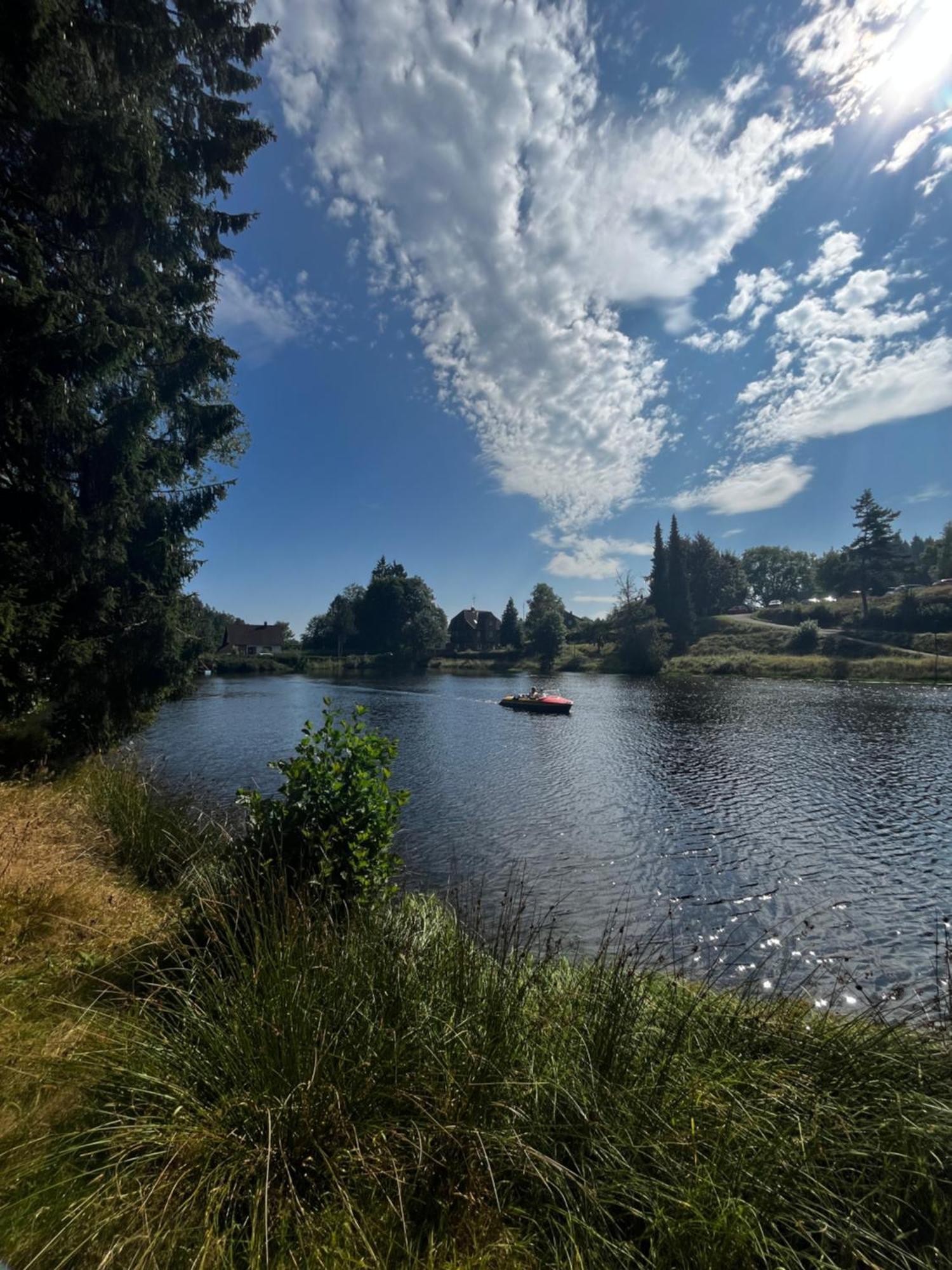 Haus Am See - Natur Pur Friedenweiler Экстерьер фото