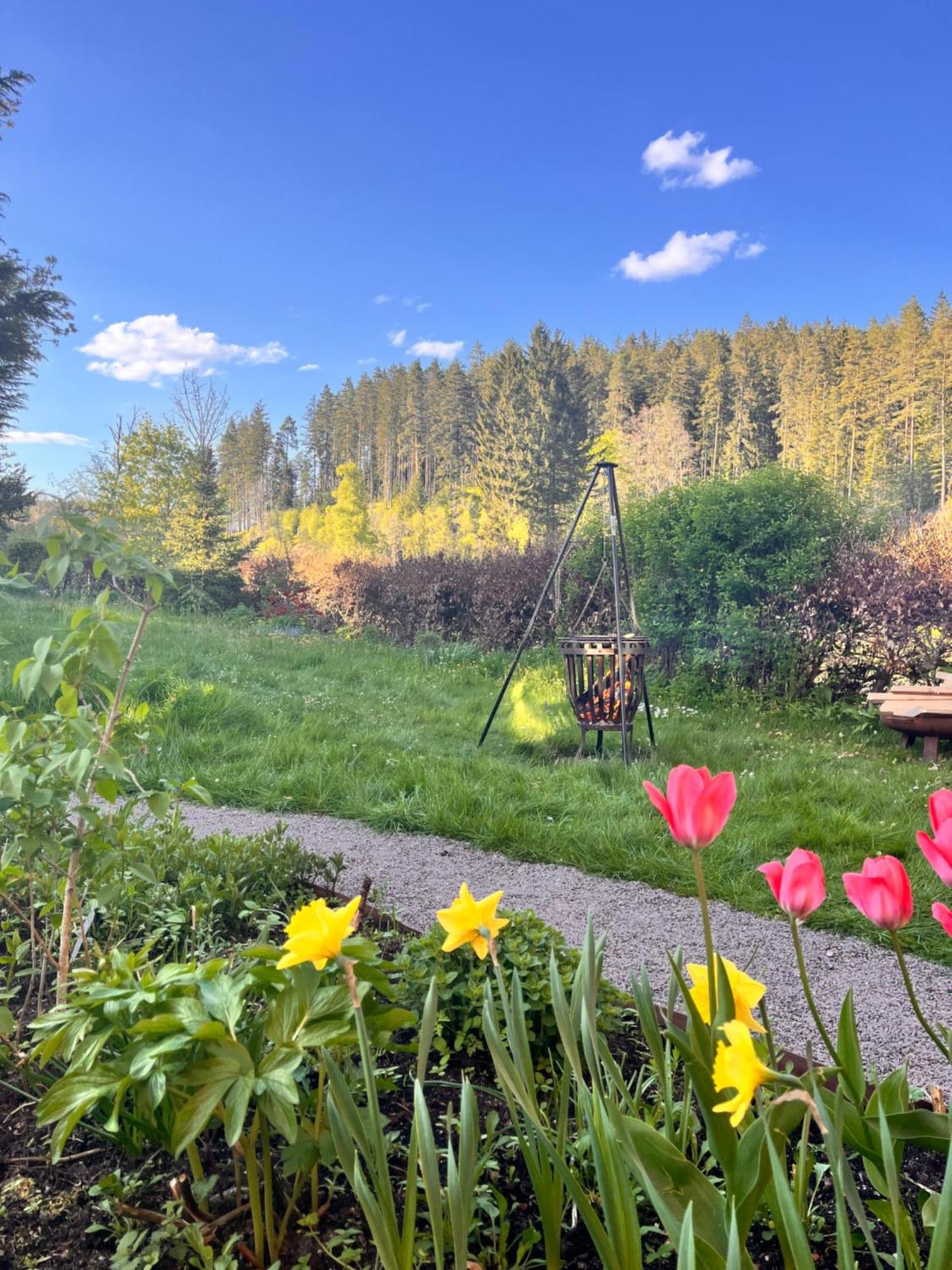 Haus Am See - Natur Pur Friedenweiler Экстерьер фото