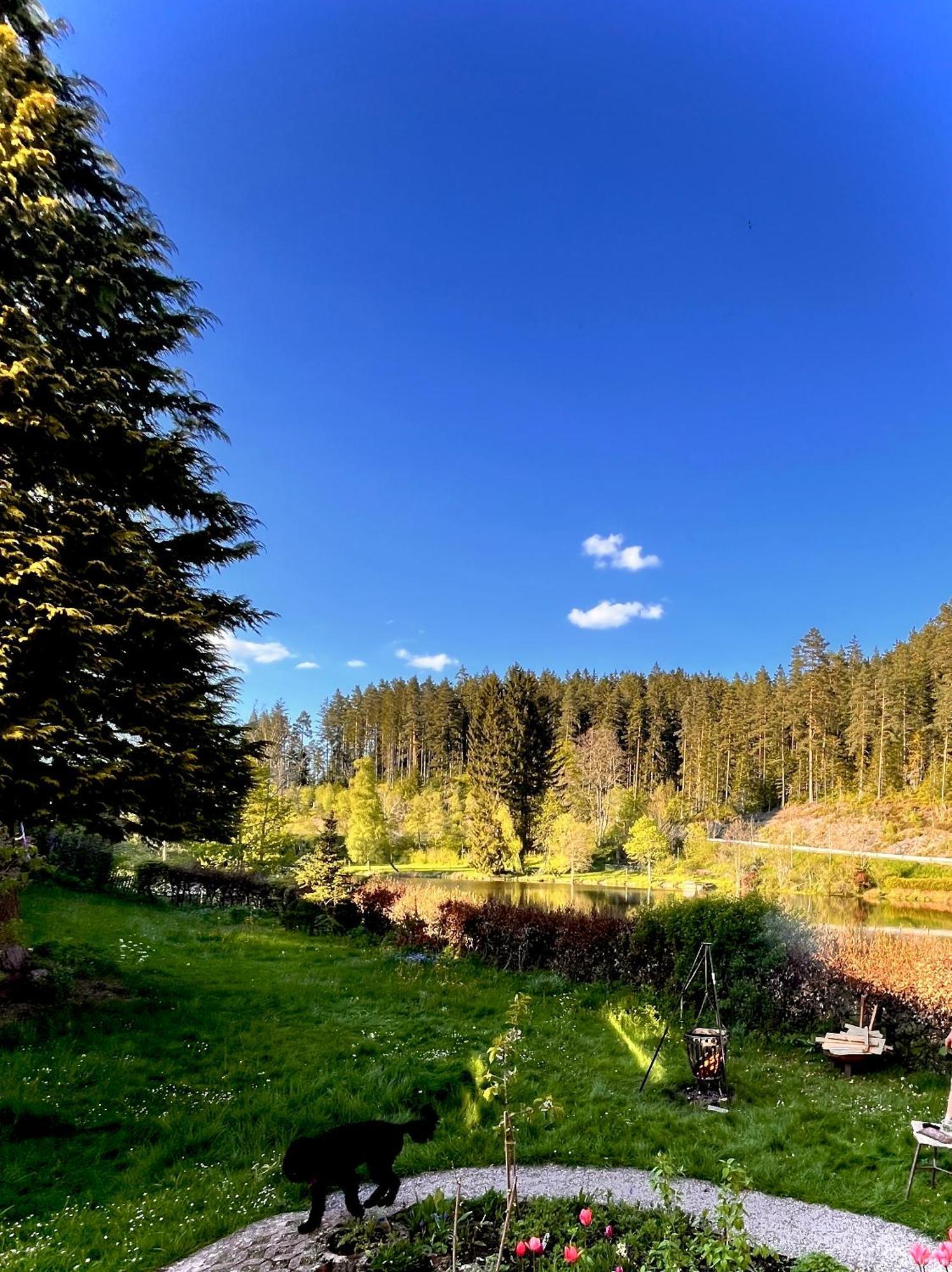 Haus Am See - Natur Pur Friedenweiler Экстерьер фото